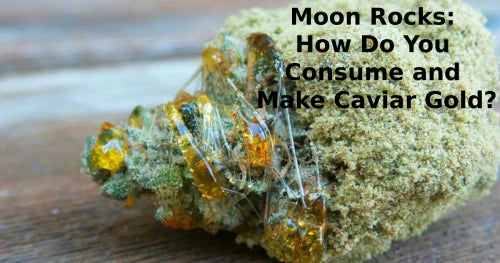 Moon Rocks: How Do You Consume and Make Caviar Gold?