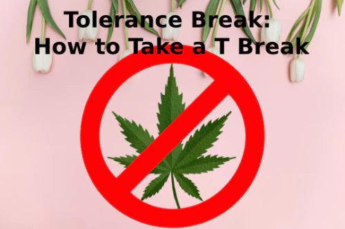 Tolerance Break: How to Take a T Break